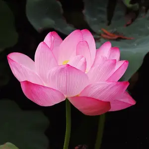 Deuil Crest Drôme art-thérapie créativité projet corps ressources accompagnement