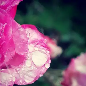 Mylène Guinier Deuil Crest Drôme art-thérapie créativité corps ressources accompagnement